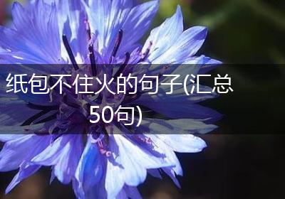 纸包不住火的句子(汇总50句)