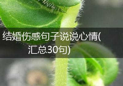 结婚伤感句子说说心情(汇总30句)