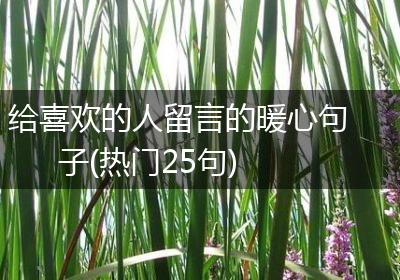 给喜欢的人留言的暖心句子(热门25句)