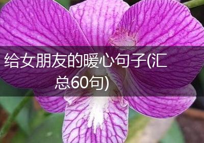 给女朋友的暖心句子(汇总60句)