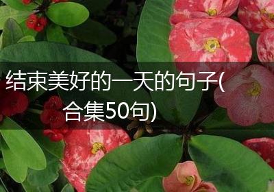 结束美好的一天的句子(合集50句)