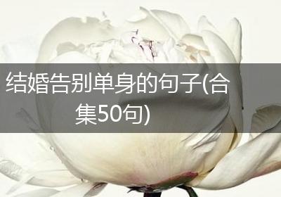 结婚告别单身的句子(合集50句)