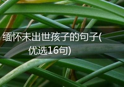 缅怀未出世孩子的句子(优选16句)