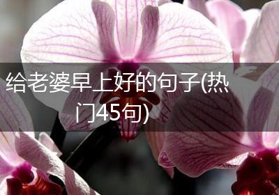 给老婆早上好的句子(热门45句)