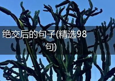 绝交后的句子(精选98句)