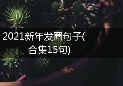 2021新年发圈句子(合集15句)