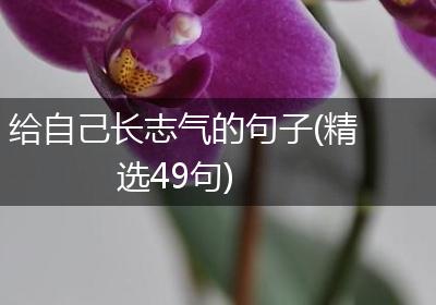给自己长志气的句子(精选49句)