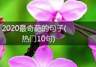 2020最奇葩的句子(热门10句)
