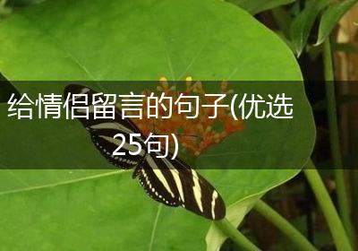 给情侣留言的句子(优选25句)
