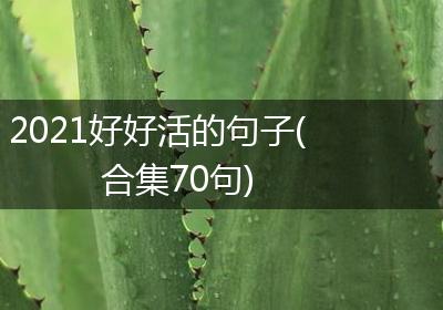2021好好活的句子(合集70句)