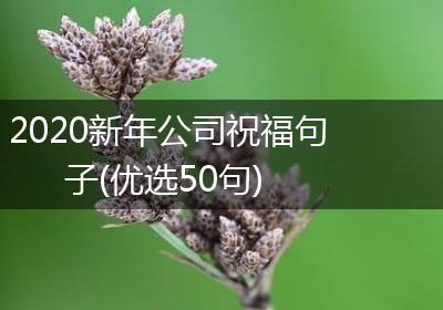 2020新年公司祝福句子(优选50句)