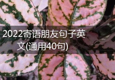 2022寄语朋友句子英文(通用40句)