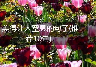 美得让人窒息的句子(推荐10句)