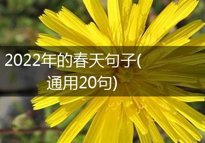 2022年的春天句子(通用20句)