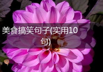 美食搞笑句子(实用10句)