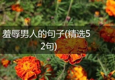 羞辱男人的句子(精选52句)