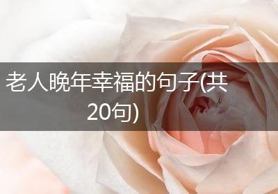 老人晚年幸福的句子(共20句)