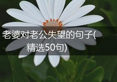 老婆对老公失望的句子(精选50句)