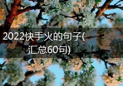 2022快手火的句子(汇总60句)