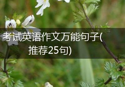 考试英语作文万能句子(推荐25句)