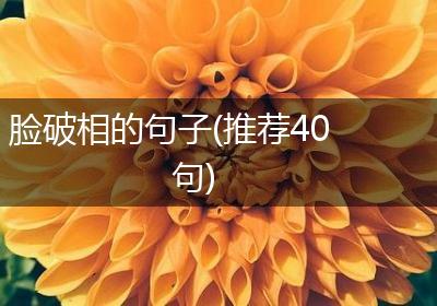脸破相的句子(推荐40句)