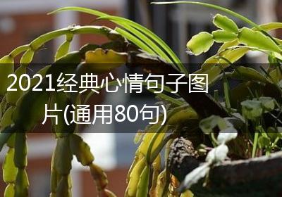 2021经典心情句子图片(通用80句)