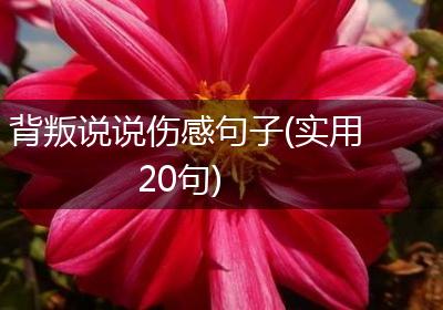 背叛说说伤感句子(实用20句)