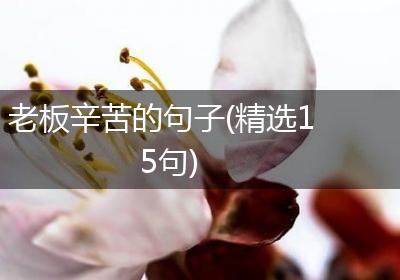 老板辛苦的句子(精选15句)