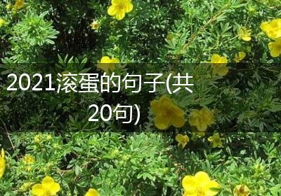 2021滚蛋的句子(共20句)