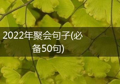 2022年聚会句子(必备50句)