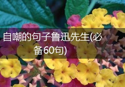自嘲的句子鲁迅先生(必备60句)