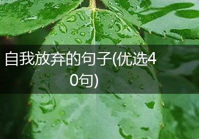自我放弃的句子(优选40句)