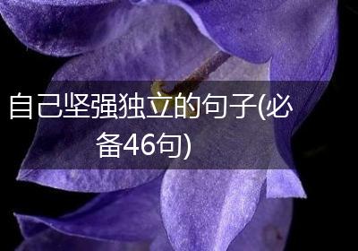 自己坚强独立的句子(必备46句)