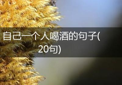 自己一个人喝酒的句子(20句)