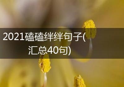 2021磕磕绊绊句子(汇总40句)