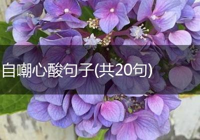 自嘲心酸句子(共20句)