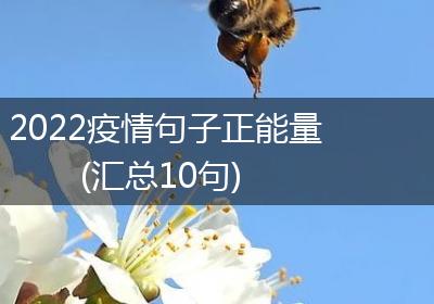 2022疫情句子正能量(汇总10句)