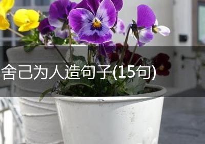 舍己为人造句子(15句)