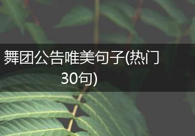 舞团公告唯美句子(热门30句)