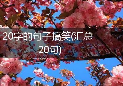 20字的句子搞笑(汇总20句)