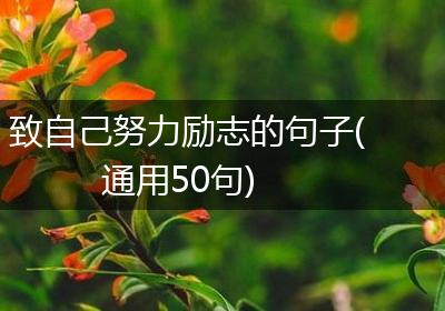 致自己努力励志的句子(通用50句)