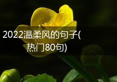 2022温柔风的句子(热门80句)