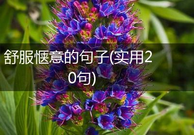 舒服惬意的句子(实用20句)