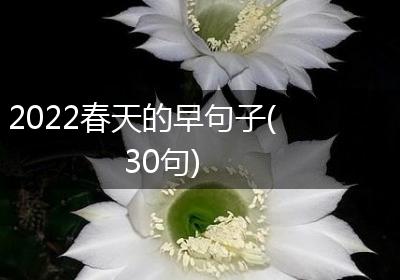 2022春天的早句子(30句)