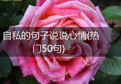 自私的句子说说心情(热门50句)