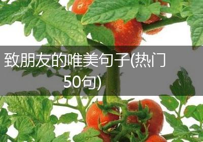 致朋友的唯美句子(热门50句)