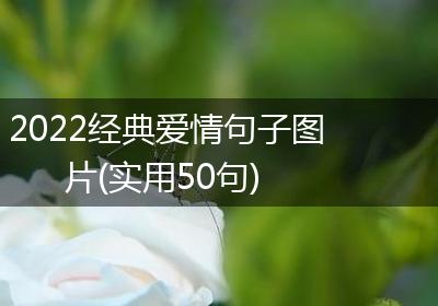 2022经典爱情句子图片(实用50句)