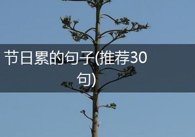 节日累的句子(推荐30句)