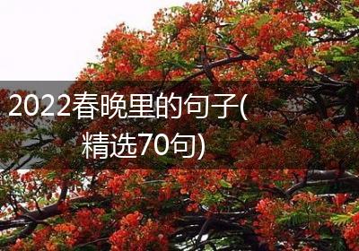 2022春晚里的句子(精选70句)