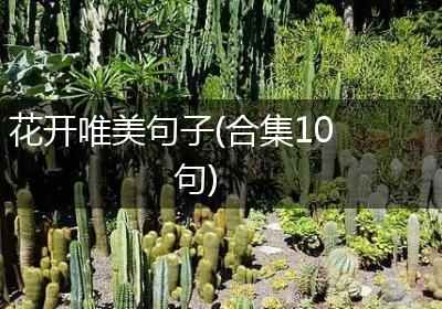 花开唯美句子(合集10句)